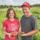 From a Farm to a Collective: an Interview with Sunderland Farm Collaborative