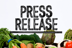 How to use Press Releases to Promote your Online Store