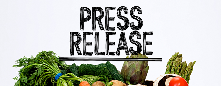 How to use Press Releases to Promote your Online Store
