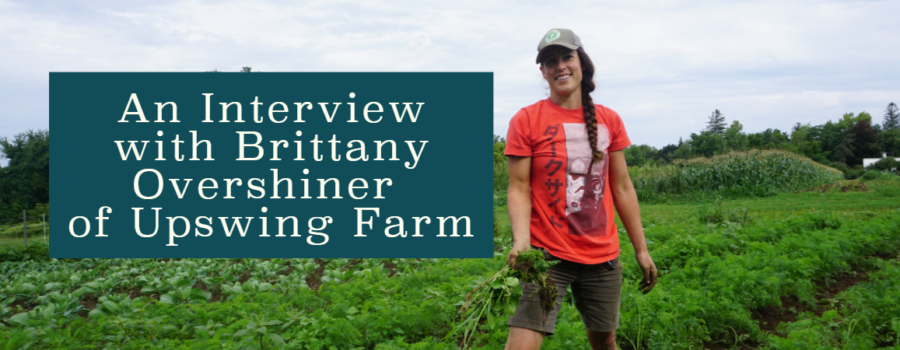 Growing Sales and Sliding Scales: An Interview with Upswing Farm