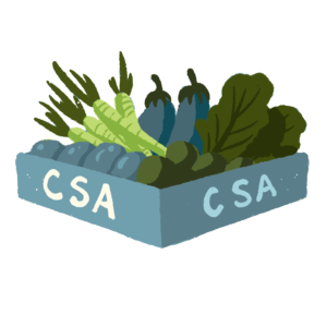 CSA farm share box with carrots kale eggplant