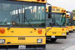 yellow school busses