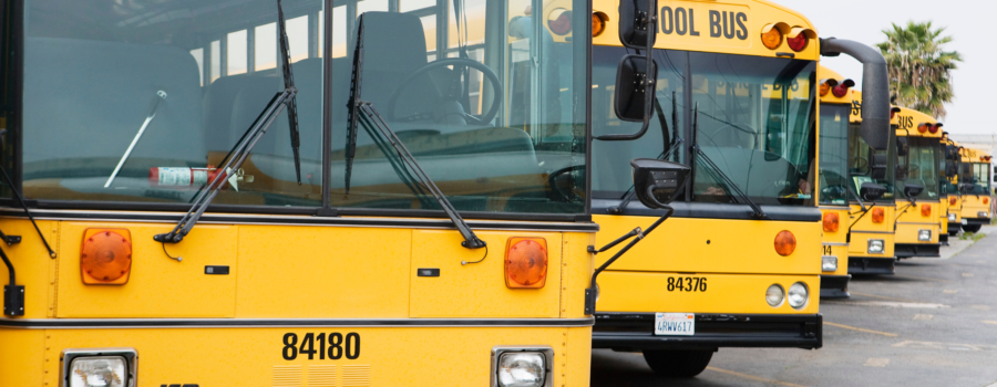 yellow school busses