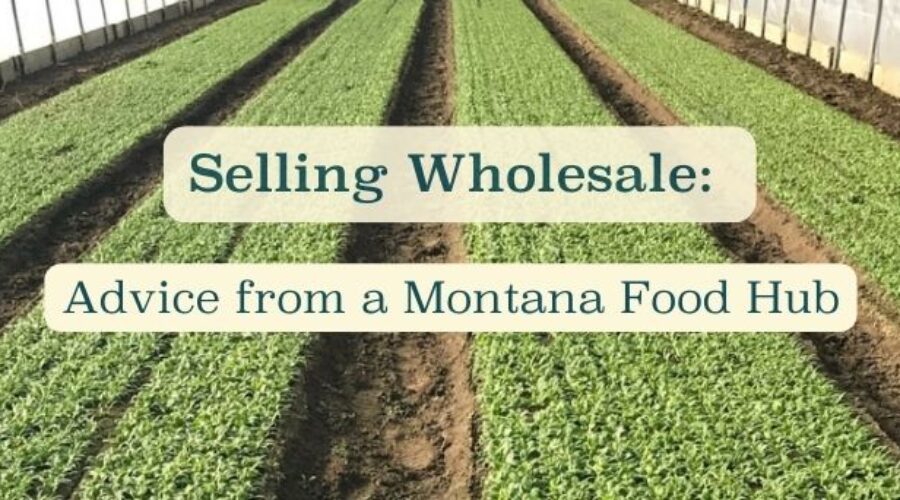 Selling Local Food Wholesale: Advice from a Montana Food Hub