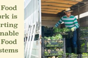 Local Food Network is Supporting Sustainable Local Food Ecosystems