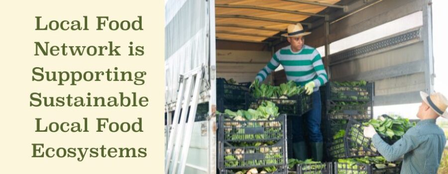 Local Food Network is Supporting Sustainable Local Food Ecosystems