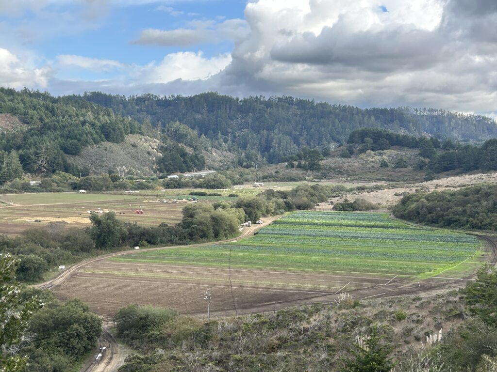 Fifth Crow Farm using online wholesale ordering software for farm sales