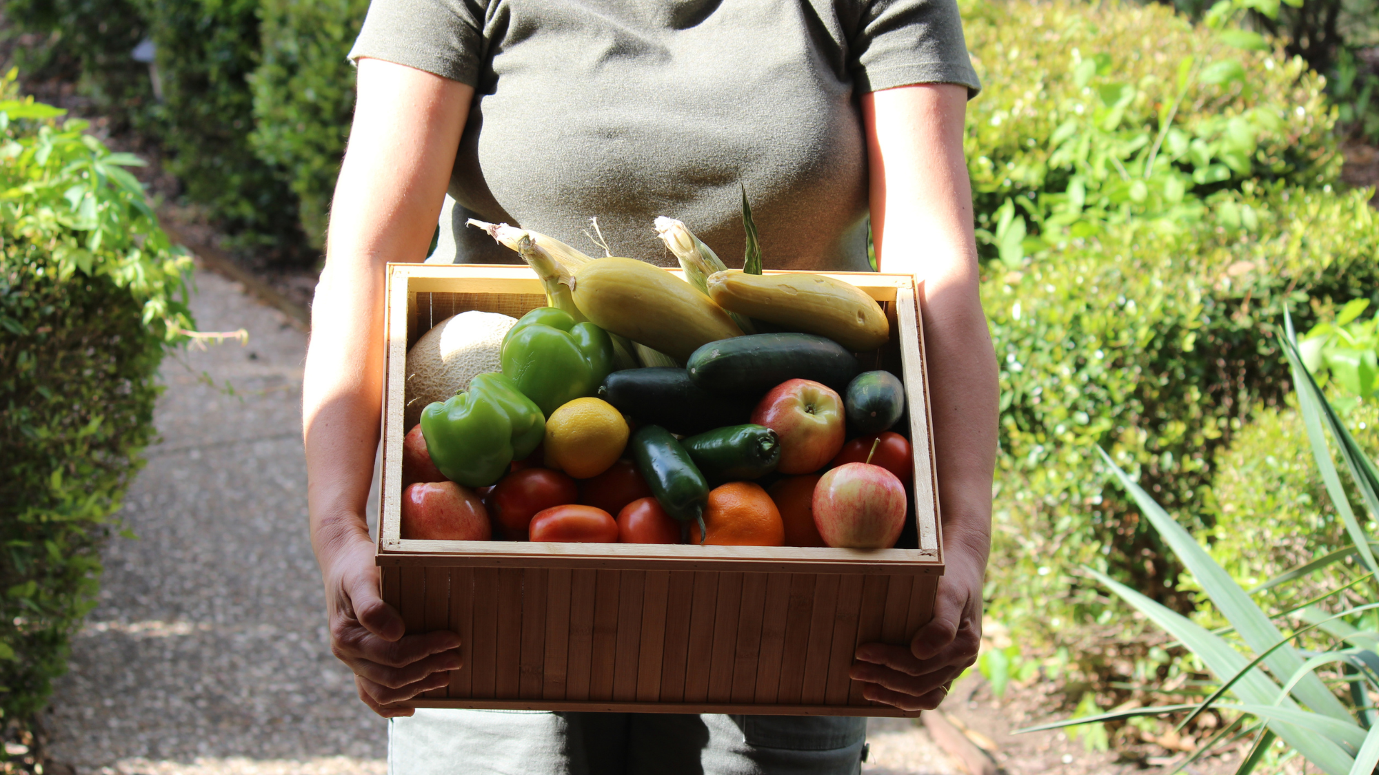 person holding csa produce box