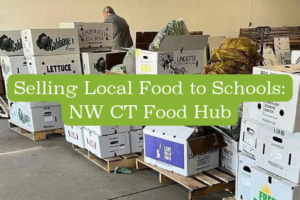 Selling local food to schools