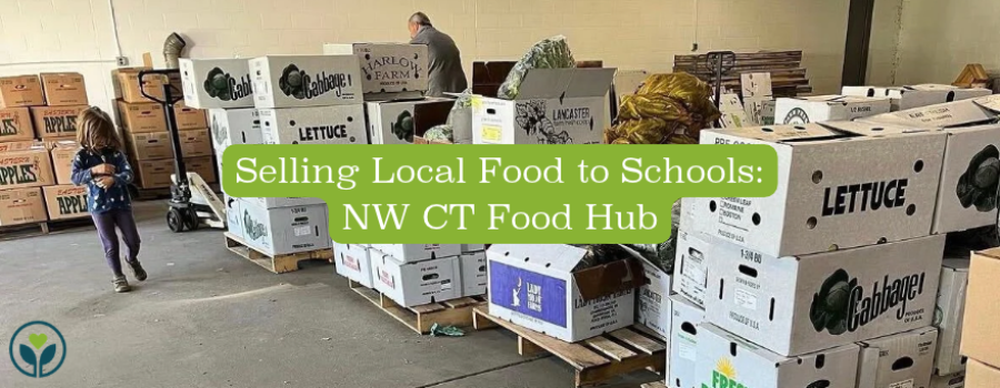Selling local food to schools